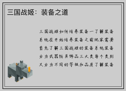 三国战姬：装备之道